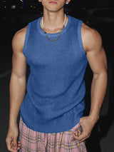 Mens Solid Knit Textured Crew Neck Vest SKUK58213